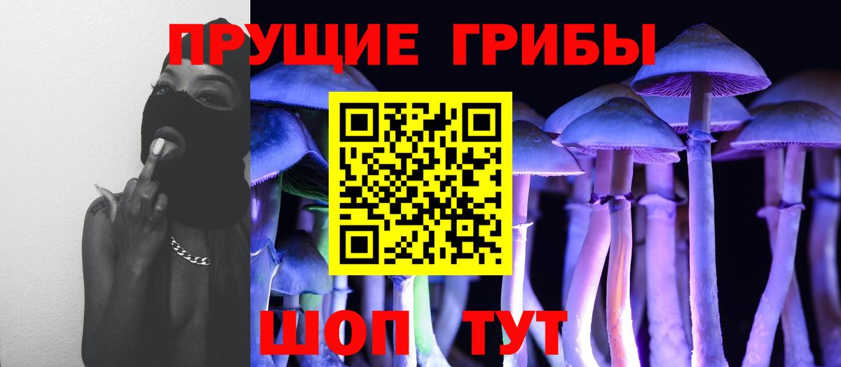 наркошоп  Вход с VPN  Ногинск  Псилоцибиновые грибы Magic Shrooms 